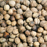 Walnuts