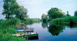 Nádrengeteg biztosítja a tavakba ömlő víz tisztaságát