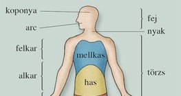 Az emberi test tájai