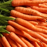 Carrots