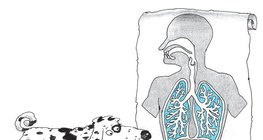 Kutyus hozzá sem tud szagolni a hangképző szerveinkhez