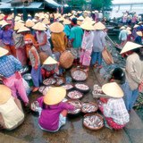 Fish market in Vietnam