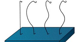 Ispitivanje kralježnice