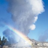 Geyser in Yellowstone National Park