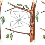 Proces izrade kuglaste mreže