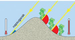 Miért jobb a szőlőt déli lejtőn termeszteni síkság helyett?
