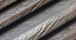 Madártoll finomszerkezete (a madártollat összetartó horgocskák is látszanak)