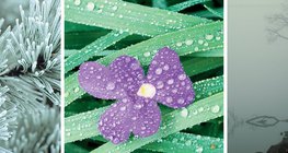 Dér, harmat és köd