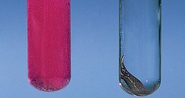 Kalcium és réz reakciója vízzel