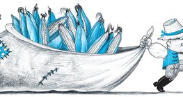 Földműves viszi haza a szüretről a törökbúzát (kukoricát)