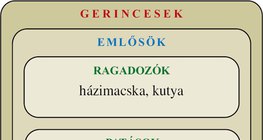 Ábra: Emlősök: ragadozók, patások