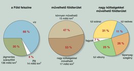 A művelhető földterület aránya a Földön