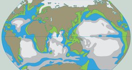 A vizek tápanyagtartalma