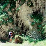 Preklopljene kontinentalne ploče