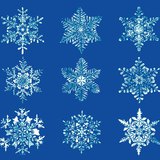 Magnified images of snowflakes