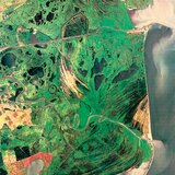 Satellite image of the Danube Delta