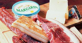 Zsírszerű anyagokban gazdag élelmiszerek