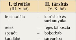 Egymást követő társítások