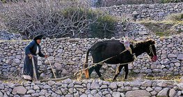 Mezőgazdaság a mediterrán területeken