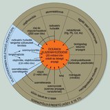 A világtenger szennyezése