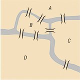 Sedam mostova Königsberga