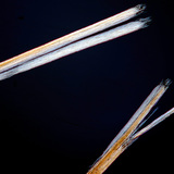 Töredezett hajszálvég