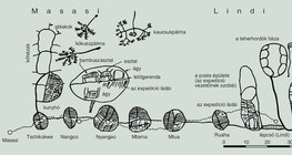 Bennszülött által rajzolt térképvázlat