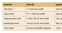 Az emberelődök néhány jellemző tulajdonsága