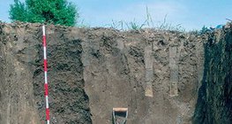 Mezőségi talaj szelvénye