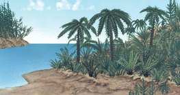 A jura időszak növényzete