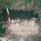 Profile of rendzina soil