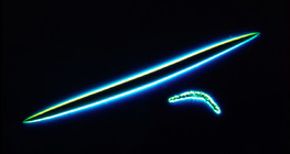 Szivacs váztűk - mikro és makrosclérák (Tavi szivacs, Spongilla lacustris)