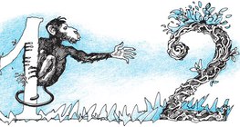 Maki nehezen jut egyről a kettőre