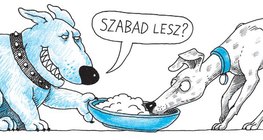 Erősebb kutya eszik