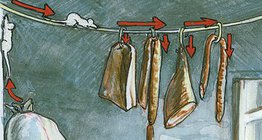 A házi egér élete a kamrában, pincében