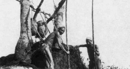 Öntözőberendezés, ún. shaduf Egyiptomban