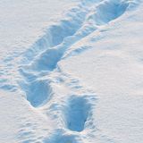 Pegadas na neve