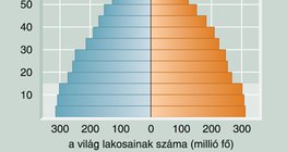 A világ korfája az 1998-as adatok alapján