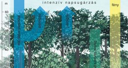 A víz és a tápanyag körforgása az egyenlítői erdőkben