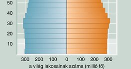 A világ korfájának 2050-re jósolt alakja