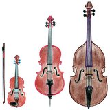 String instruments (violin, cello, double bass)
