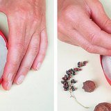 Dombormű készítése őszi termésekből – 1. lépés