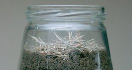 A földigiliszták megfigyelésének kísérleti eszköze