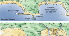 Turzásképződmények