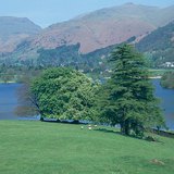 Parklands can be found in deforested areas in England