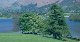 A kiirtott erdők helyén ma ligetes, parkos táj található Angliában