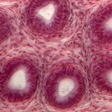 Herecsatornák keresztmetszete