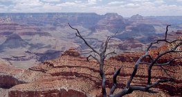 A Grand Canyon