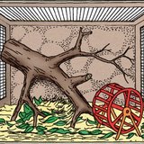 Terrárium berendezése