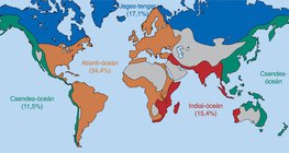 Vízgyűjtő területek, illetve a szárazföldekre hullott csapadékvíz eloszlásának aránya